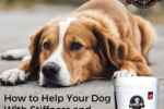 Is Your Dog struggling with Joint Discomfort?
