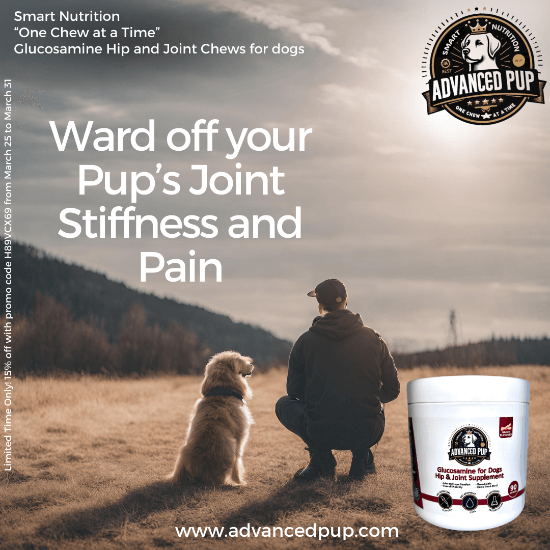 Ward off Your Pup’s Joint Stiffness and Pain