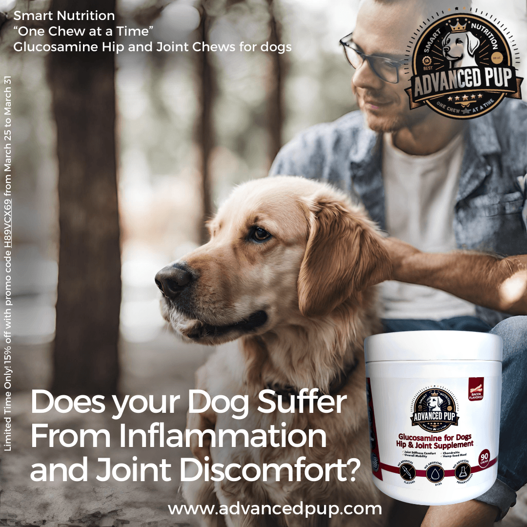 Does your Dog Suffer From Inflammation and Joint Discomfort?