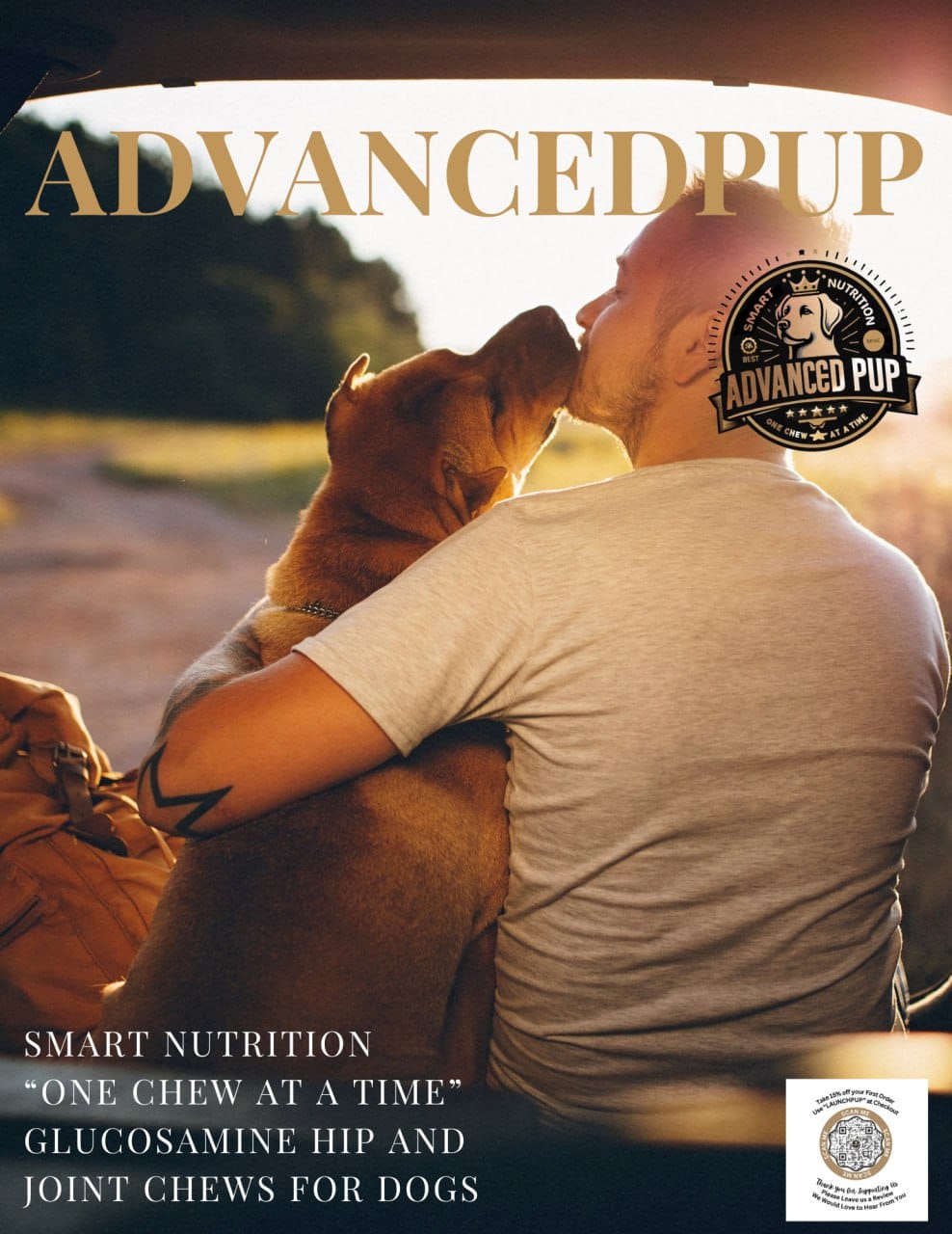 Does Your Dog Need a Joint Supplement?