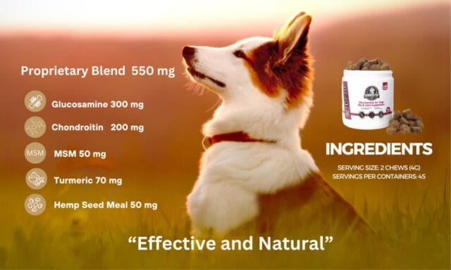 Bulldog Joint Pain Relief