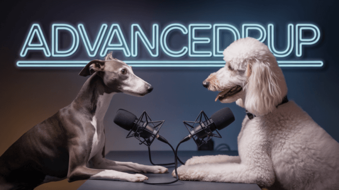 Dogs talking about mobility support