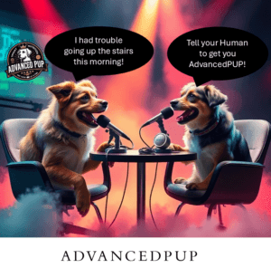 two dogs talking about advancedpup